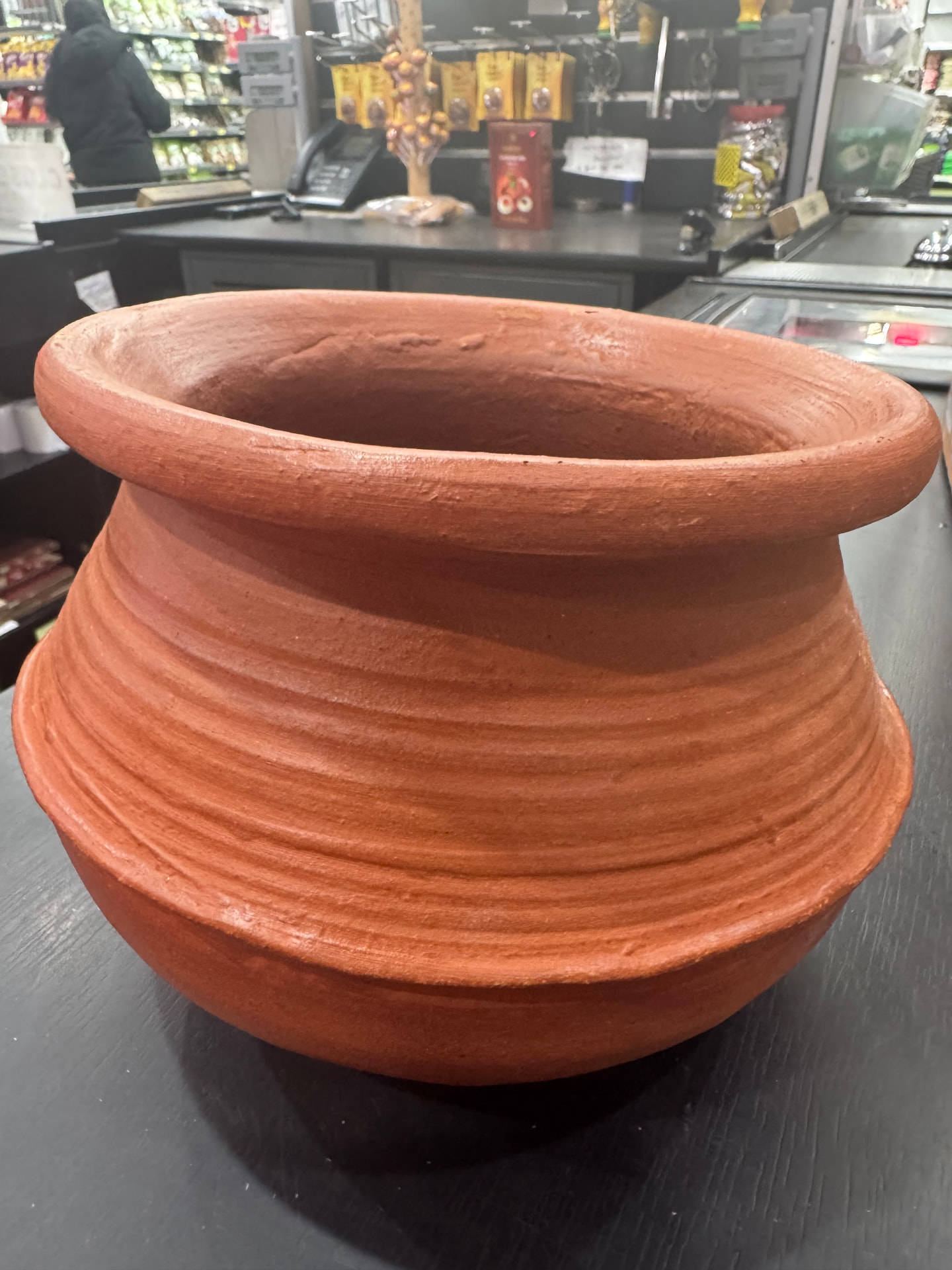 RAIZADA Traditional Clay Handi Pot